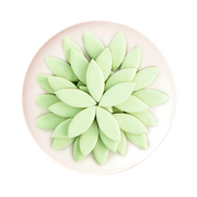 Calisson Pistache 350g